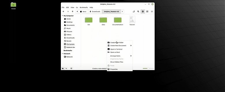 Heaven Benchmark Installation Process on Linux - Step 8